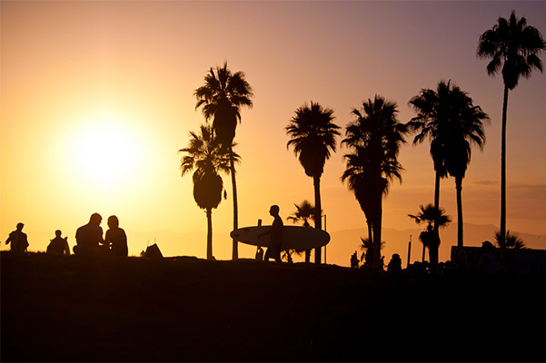 A man walking with a surfboard in front of palm trees silhouetted during sunset